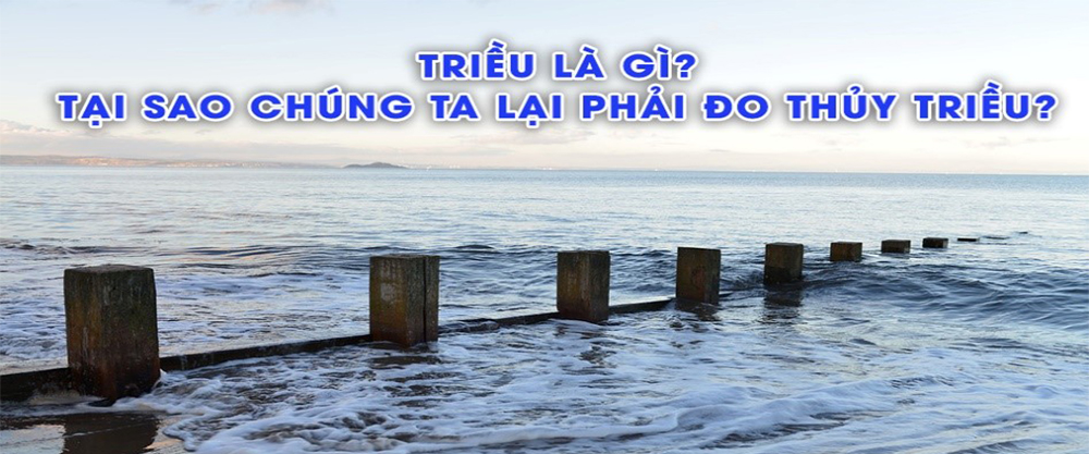 17.thuy-trieu-la-gi-1