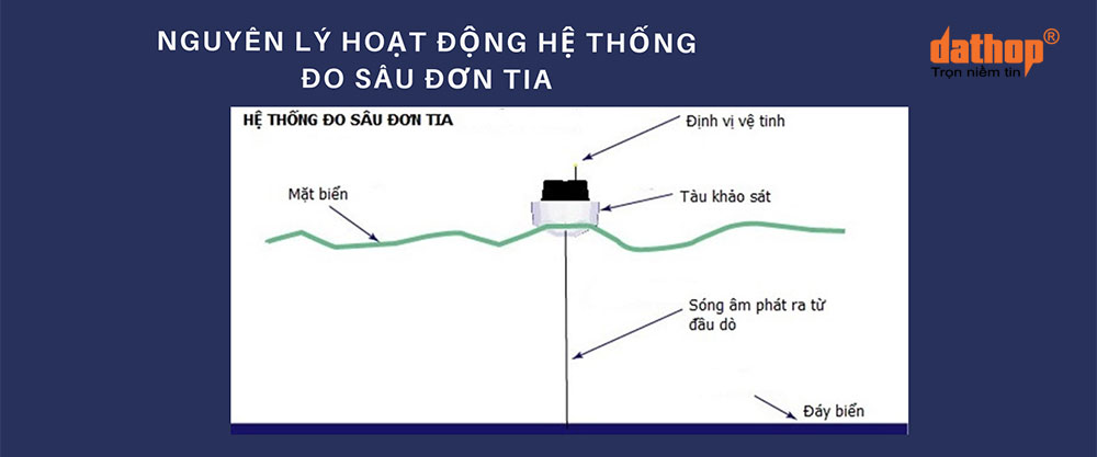 he-thong-do-sau-don-tia