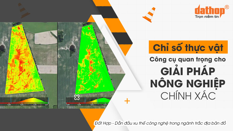 chi-so-thuc-vat