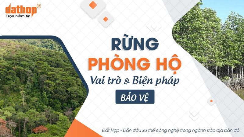 rung-phong-ho