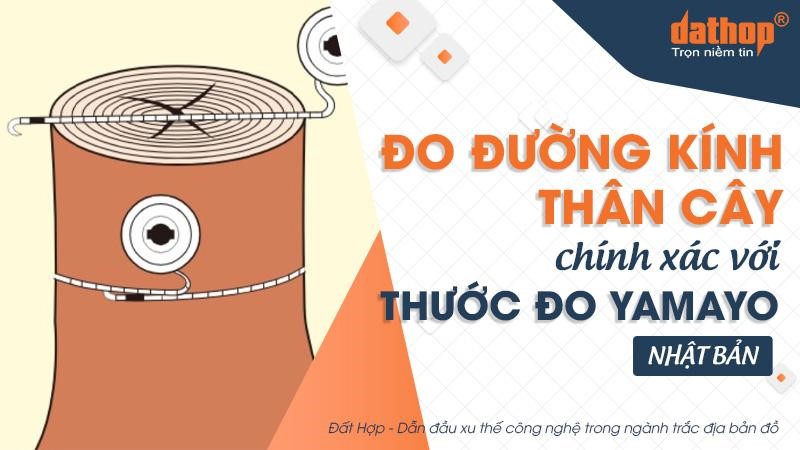 do-duong-kinh-than-cay