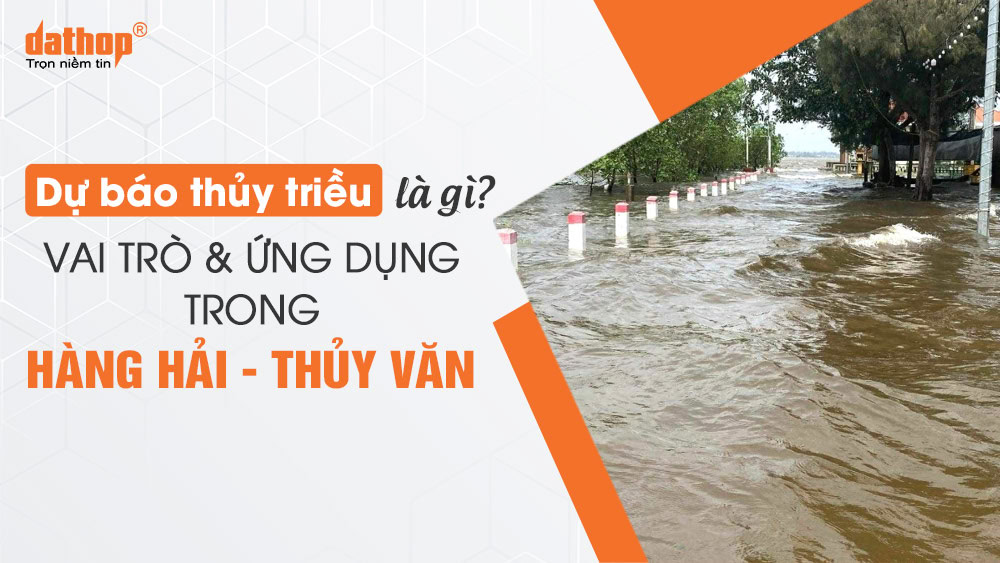 du-bao-thuy-trieu