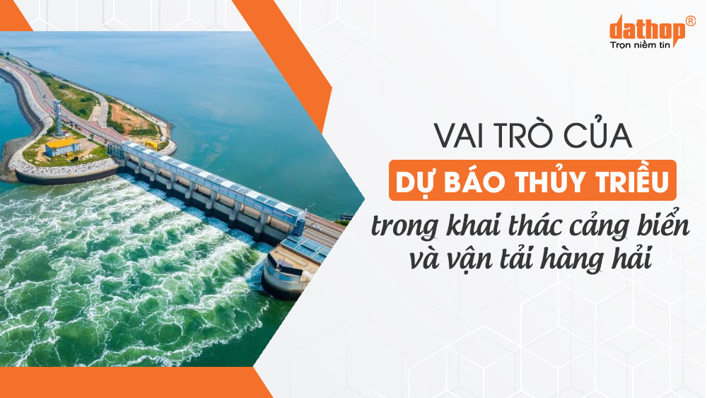 vai-tro-cua-du-bao-thuy-trieu2