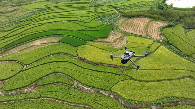 Drone trong nông nghiệp và những tiềm năng để phát triển