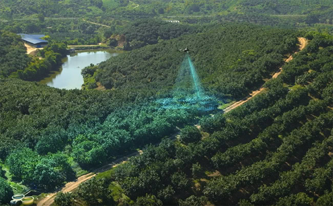 DJI Mavic 3 Multispectral 