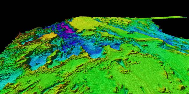 Sonar Multibeam là gì? Tầm quan trọng của Sonar Multibeam