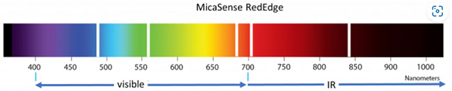 Dải phổ của cảm biến Micasense RedEdge.