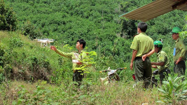 Giám sát và quản lý rừng bằng công nghệ UAV