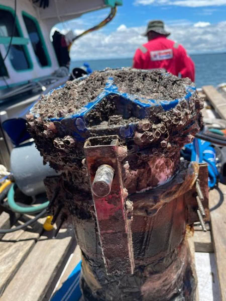 Những lưu ý khi sử dụng thiết bị sonar dưới nước