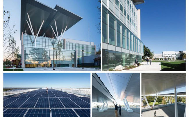 Net Zero trong xây dựng: Xu thế tất yếu để phát triển bền vững