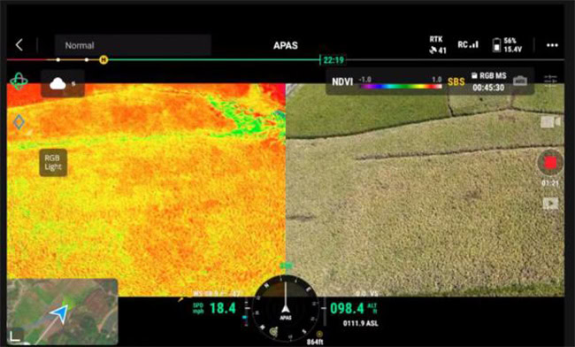 Người dùng có thể xem dữ liệu NDVI và RGB đồng thời.
