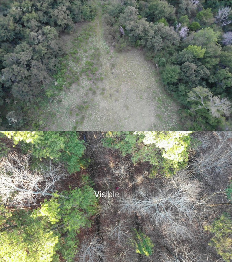 DJI Mavic 3T: Giải pháp trong công tác quản lý và bảo vệ rừng