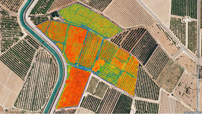 FLYDRONAIR sử dụng bản đồ NDVI tạo bởi PIX4Dfields trong các phân tích chỉ số.