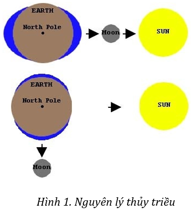 Triều là gì? Vì sao cần phải đo triều?