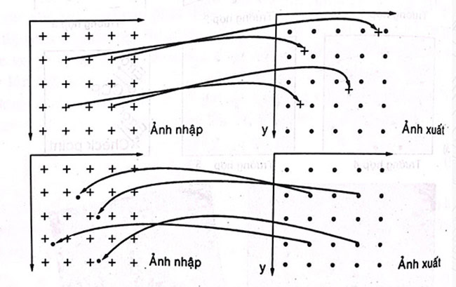 2 kỹ thuật tái chia mẫu thường được sử dụng.