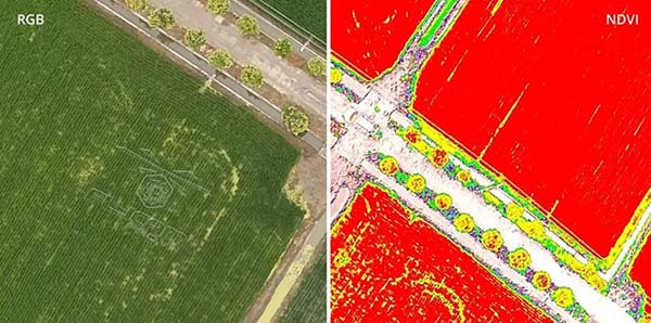DJI Phantom 4 Multispectral: Thiết bị UAV cho ngành nông nghiệp công nghệ cao