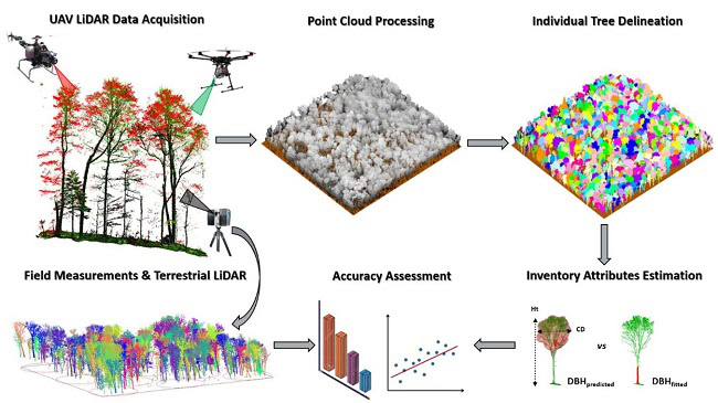 Tính toán khả năng hấp thụ CO2 của rừng bằng Công nghệ LiDAR
