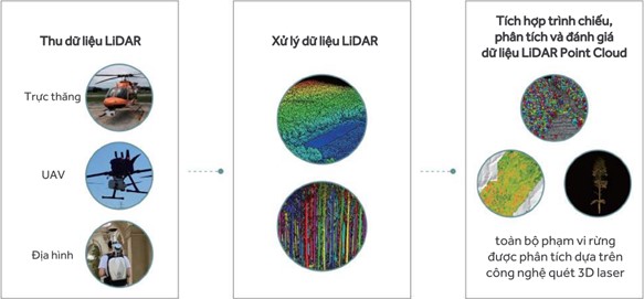 Tính toán khả năng hấp thụ CO2 của rừng bằng Công nghệ LiDAR