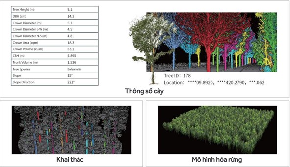 Tính toán khả năng hấp thụ CO2 của rừng bằng Công nghệ LiDAR