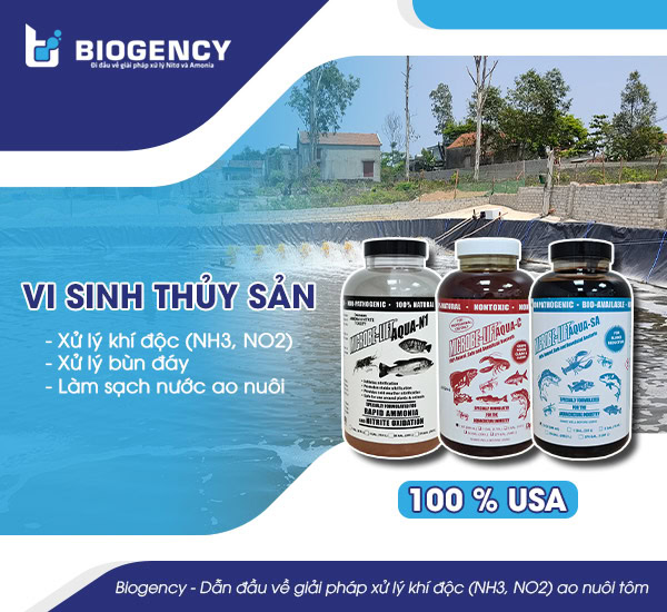 Vi sinh thủy sản